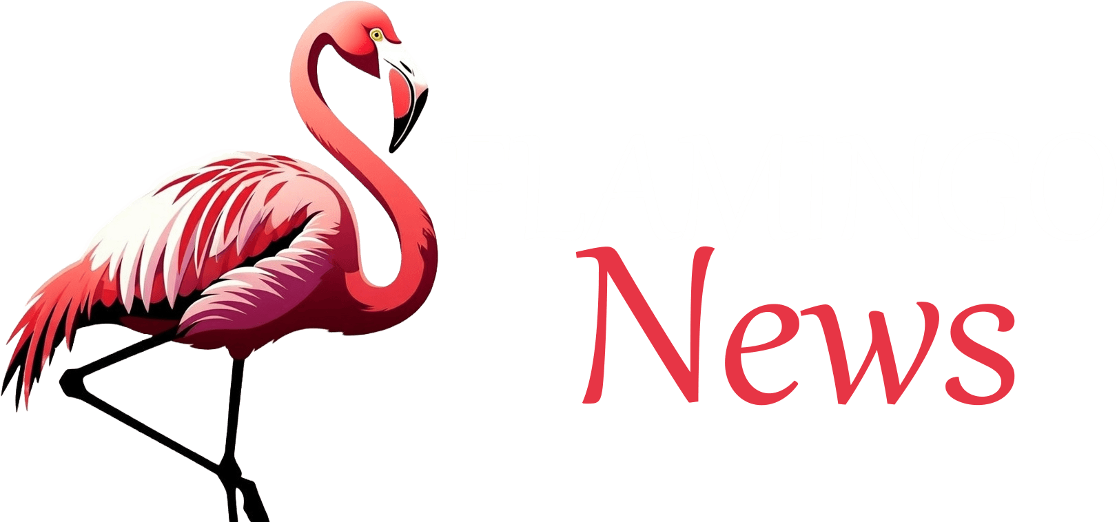 Flamingo-News